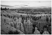 Visitor looking, near Fairyland Point. Bryce Canyon National Park ( black and white)