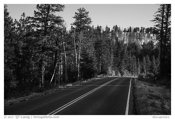 Park road. Bryce Canyon National Park (black and white)