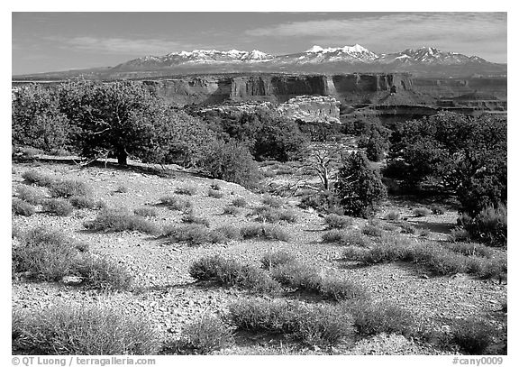View with canyons and mountains, the Needles. Canyonlands National Park (black and white)