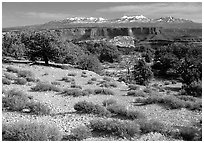 View with canyons and mountains, the Needles. Canyonlands National Park, Utah, USA. (black and white)
