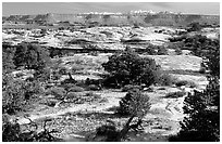 View with bare limestone table, canyons and mountains, the Needles. Canyonlands National Park, Utah, USA. (black and white)