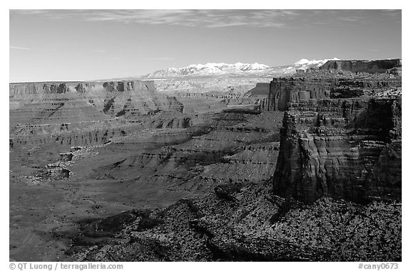 Buck Canyon overlook and La Sal mountains, Island in the sky. Canyonlands National Park (black and white)