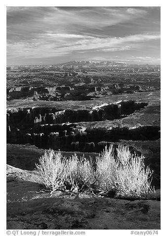 Monument Basin from Grand view point, Island in the sky. Canyonlands National Park (black and white)