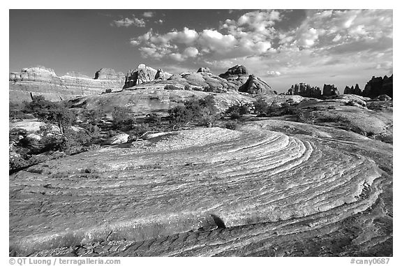 Circular sandstone striations near Elephant Hill, the Needles, late afternoon. Canyonlands National Park (black and white)