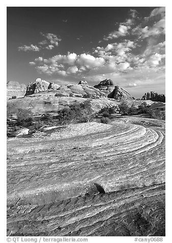 Sandstone swirls near Elephant Hill, the Needles, late afternoon. Canyonlands National Park (black and white)