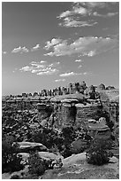 Last light on the Needles. Canyonlands National Park ( black and white)