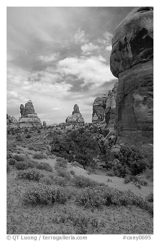 Sandstone towers, Chesler Park. Canyonlands National Park (black and white)
