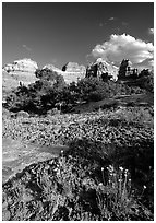 Wildflowers and sandstone towers near Elephant Hill, the Needles, late afternoon. Canyonlands National Park ( black and white)