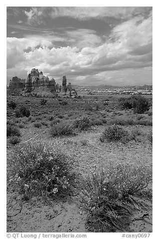 Sandstone towers in sandy flat basin, Chesler Park. Canyonlands National Park (black and white)