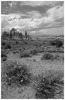 Sandstone towers in sandy flat basin, Chesler Park. Canyonlands National Park ( black and white)