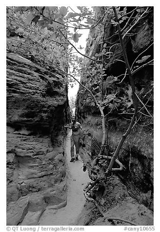 Hiker in narrow passage between rock walls, the Needles. Canyonlands National Park (black and white)