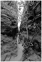 Hiker in narrow passage between rock walls, the Needles. Canyonlands National Park ( black and white)