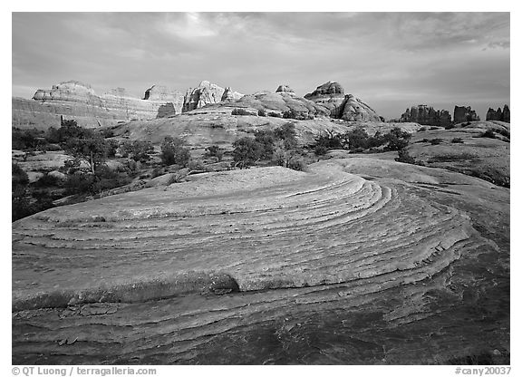Rock swirls and spires at sunset, Needles District. Canyonlands National Park (black and white)