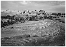 Rock swirls and spires at sunset, Needles District. Canyonlands National Park, Utah, USA. (black and white)