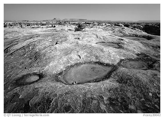 Empty pot holes on sandstone, Needles District. Canyonlands National Park (black and white)