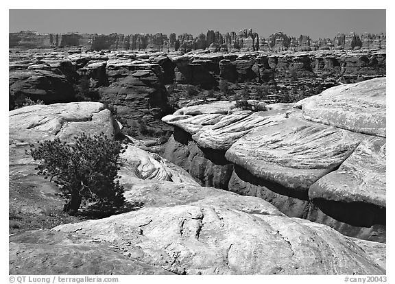 Crack and rock needles near Elephant Hill, mid-day, Needles District. Canyonlands National Park (black and white)