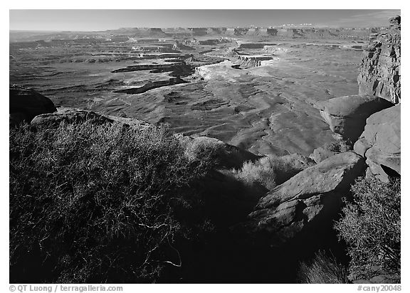 Green river overlook and Henry mountains, Island in the sky. Canyonlands National Park (black and white)