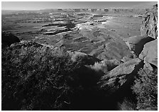 Green river overlook and Henry mountains, Island in the sky. Canyonlands National Park ( black and white)