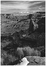 Distant canyons from Green River Overlook, Island in the Sky. Canyonlands National Park ( black and white)