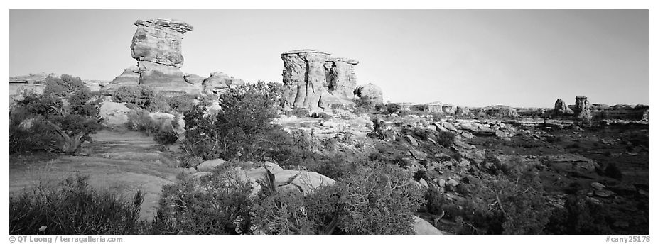 Rock spires, Needles District. Canyonlands National Park (black and white)