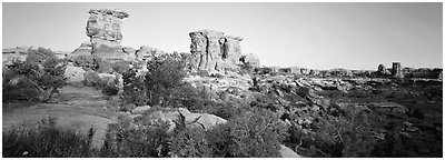 Rock spires, Needles District. Canyonlands National Park (Panoramic black and white)
