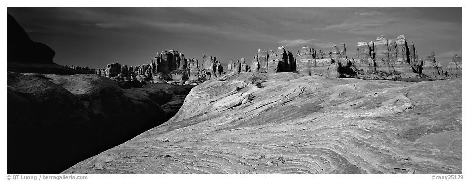 Swirls and sandstone pinnacles, Needles District. Canyonlands National Park (black and white)