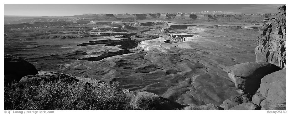Canyon scenery, Island in the Sky. Canyonlands National Park (black and white)