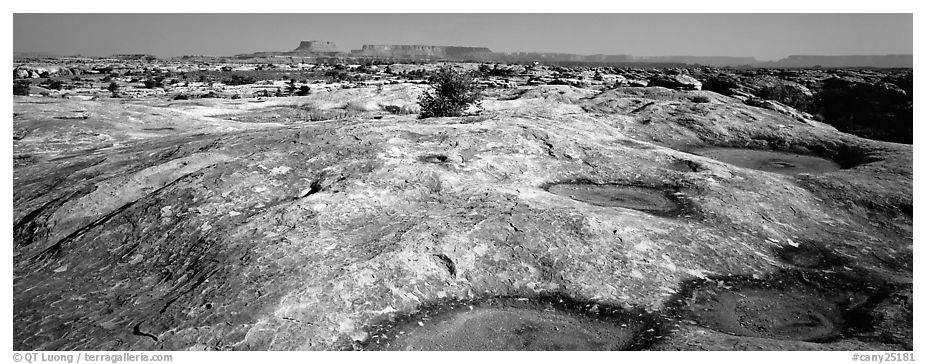 Potholed sandstone slab, Needles District. Canyonlands National Park (black and white)