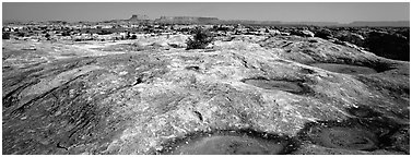 Potholed sandstone slab, Needles District. Canyonlands National Park (Panoramic black and white)
