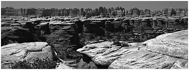 Sandstone needles near Elephant Hill, Needles District. Canyonlands National Park (Panoramic black and white)