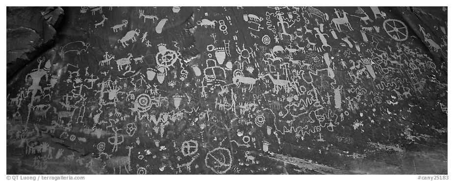 Petroglyphs on rock slab, Newspaper Rock. Bears Ears National Monument, Utah, USA (black and white)