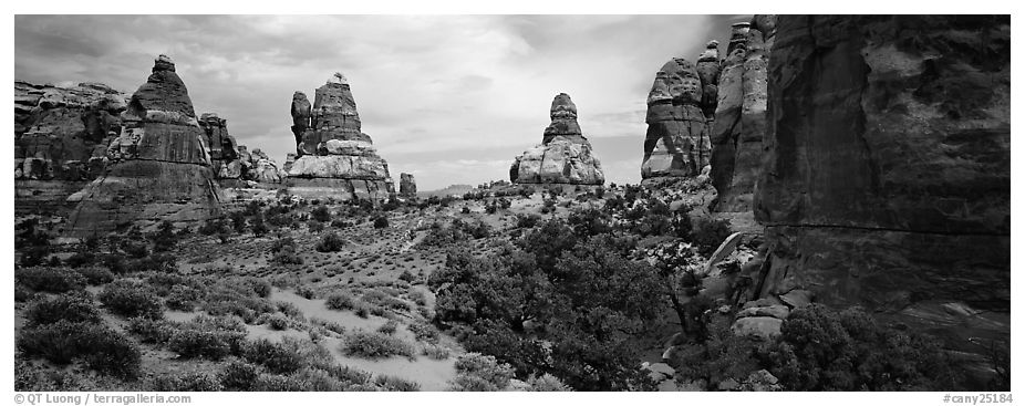 Rock towers, Chessler Park, Needles District. Canyonlands National Park (black and white)