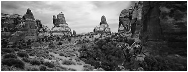 Rock towers, Chessler Park, Needles District. Canyonlands National Park (Panoramic black and white)
