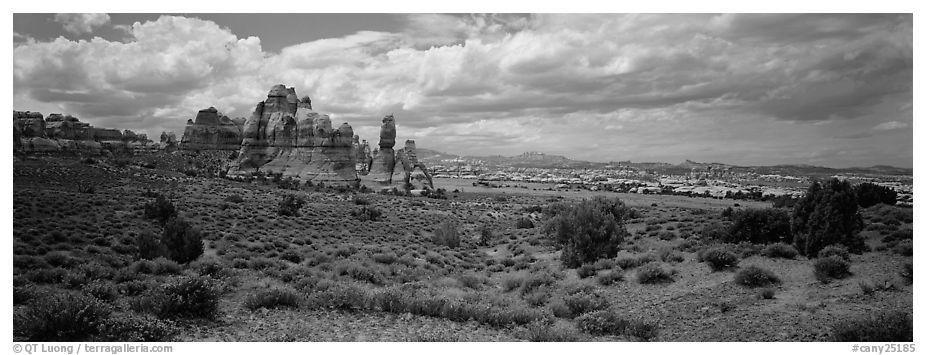 Chessler Park and rock formations, Needles District. Canyonlands National Park (black and white)