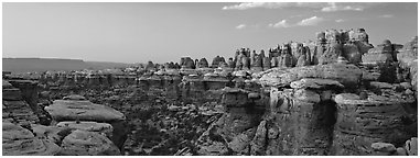 Colorful spires of Cedar Mesa Sandstone, sunset, Needles District. Canyonlands National Park (Panoramic black and white)