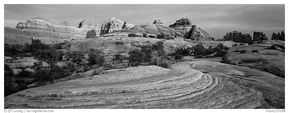 Sandstone Swirls and Rock needles at sunset, Needles District. Canyonlands National Park (black and white)