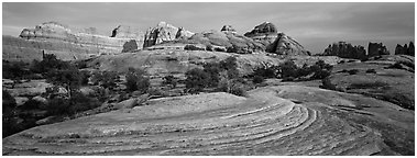 Sandstone Swirls and Rock needles at sunset, Needles District. Canyonlands National Park (Panoramic black and white)