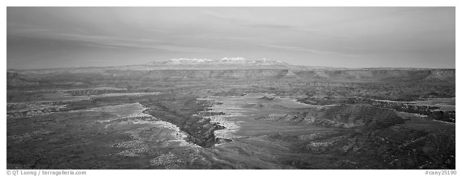 Canyon gorge and mountains in pastel colors, Island in the Sky. Canyonlands National Park (black and white)
