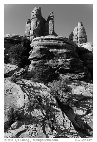 Junipers and pinnacles, Maze District. Canyonlands National Park (black and white)