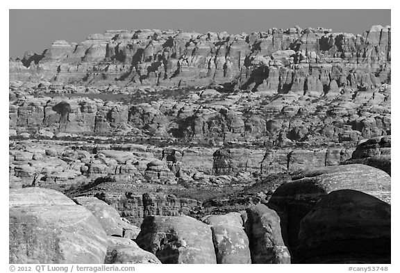 The Needles seen from the Doll House. Canyonlands National Park (black and white)