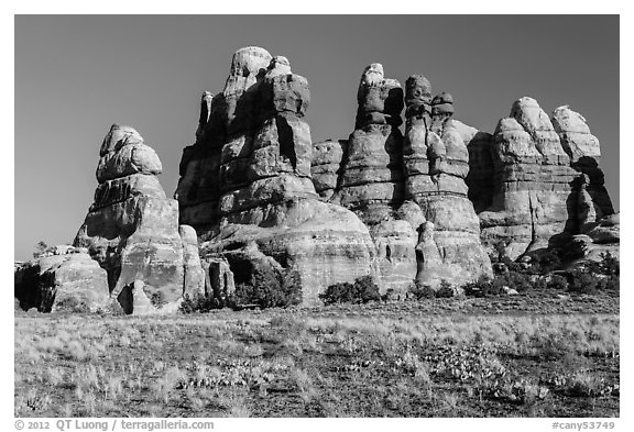 Cactus on flats and spires of the Doll House. Canyonlands National Park (black and white)