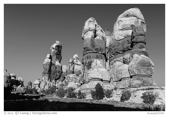 Dollhouse pinnacles, Maze District. Canyonlands National Park (black and white)