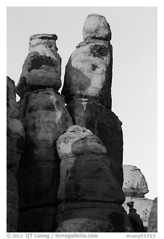 Spires at sunset, Maze District. Canyonlands National Park (black and white)