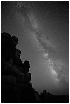 Doll House pinnacles and Milky Way. Canyonlands National Park, Utah, USA. (black and white)