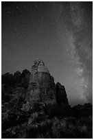Doll House spires and Milky Way. Canyonlands National Park ( black and white)