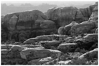 Rocks and trees, Maze District. Canyonlands National Park ( black and white)