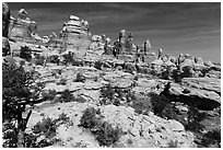 Spires and pinnacles, Dollhouse. Canyonlands National Park ( black and white)