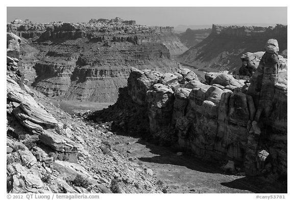 Surprise Valley and Colorado River canyon. Canyonlands National Park (black and white)