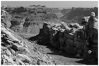 Surprise Valley and Colorado River canyon. Canyonlands National Park ( black and white)