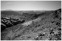 Surprise Valley from above. Canyonlands National Park, Utah, USA. (black and white)